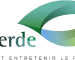 Logo id verde