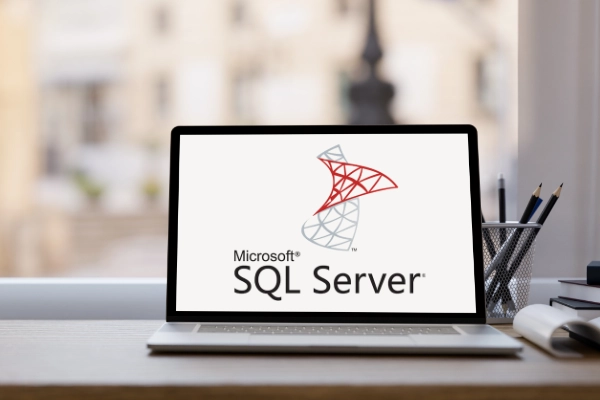 sauvegarde base de données SQL Server