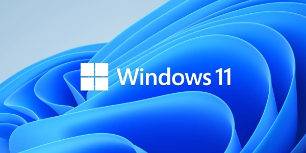 sauvegarde automatique windows11
